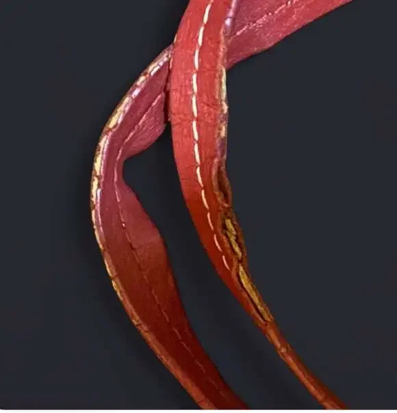 Michael Michael Kors Signature Monogram Canvas Tote with Red Leather Handles - Picture 4 of 5